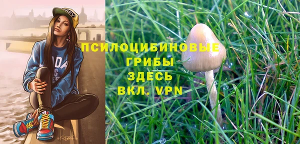 кокс Лагань