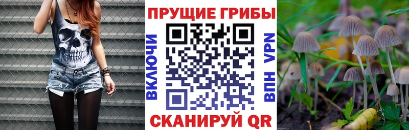 Псилоцибиновые грибы прущие грибы ОМГ ОМГ Урюпинск